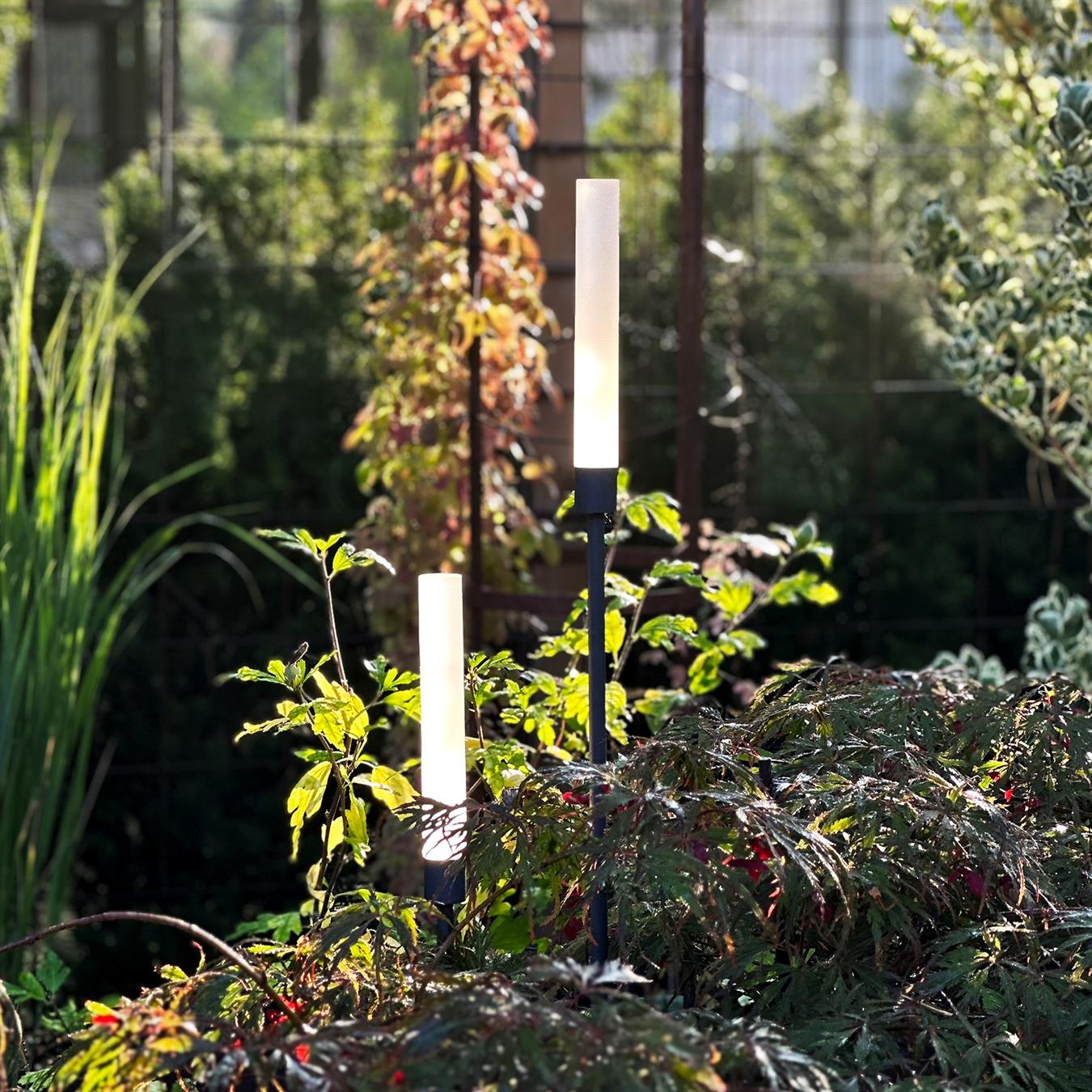 Frost i utomhusmiljö